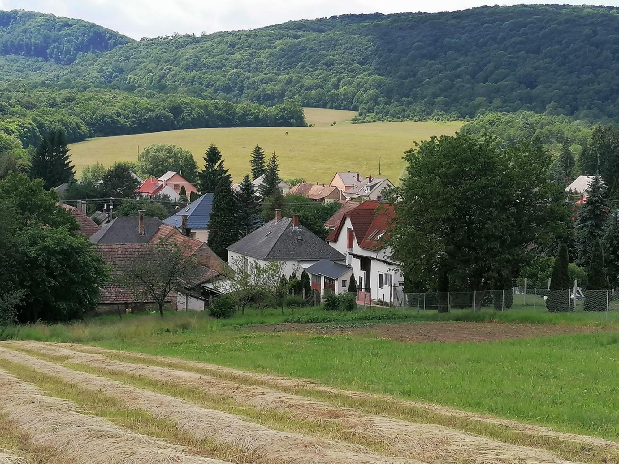 Borostyankut Wellness Home Bakonybél 외부 사진