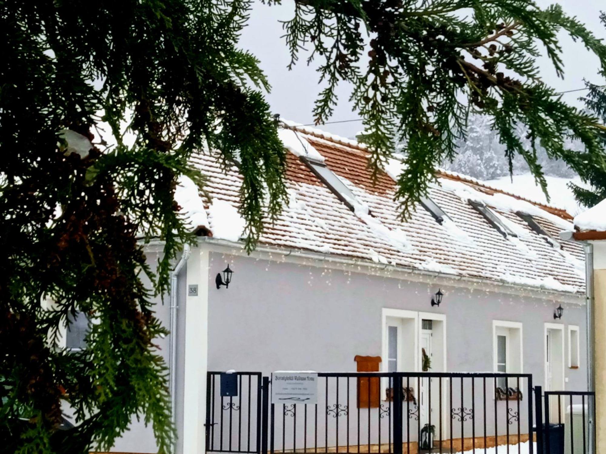 Borostyankut Wellness Home Bakonybél 외부 사진